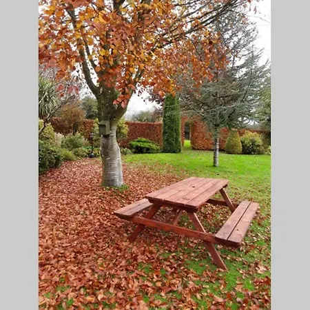 Mews With Garden Views Lägenhet Carlow