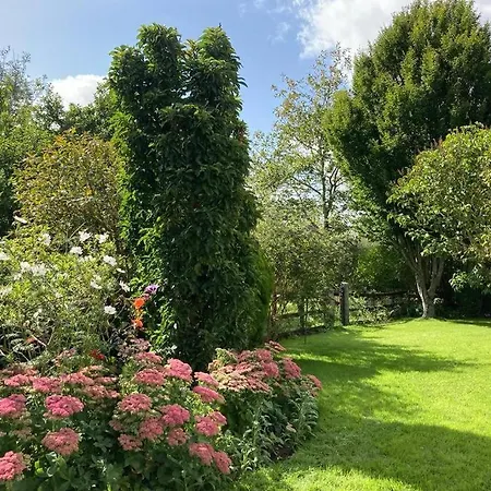 Mews With Garden Views Carlow
