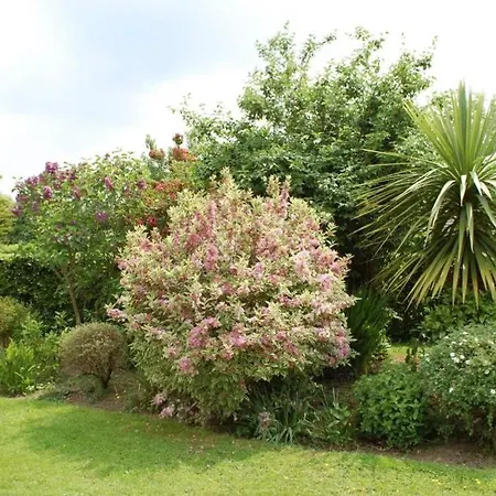 Apartment Mews With Garden Views Carlow
