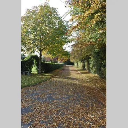 Mews With Garden Views Карлоу