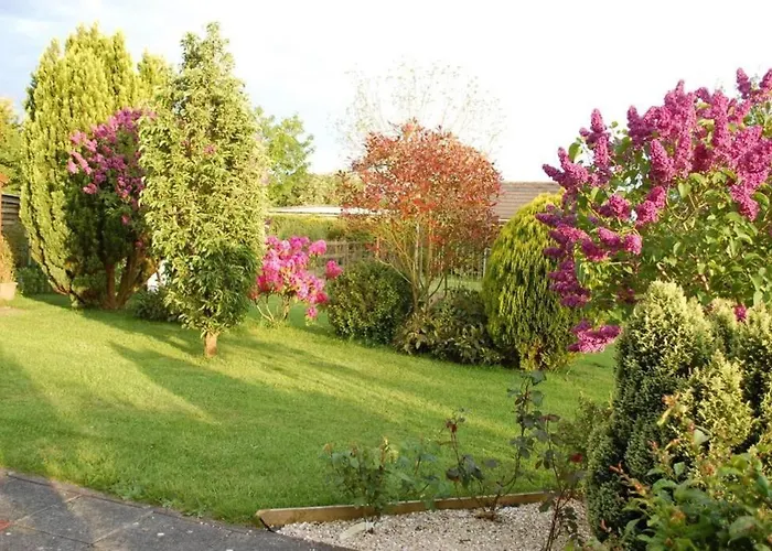 Mews With Garden Views * Carlow