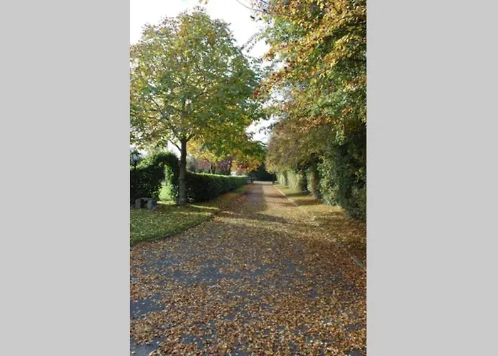 Mews With Garden Views Carlow